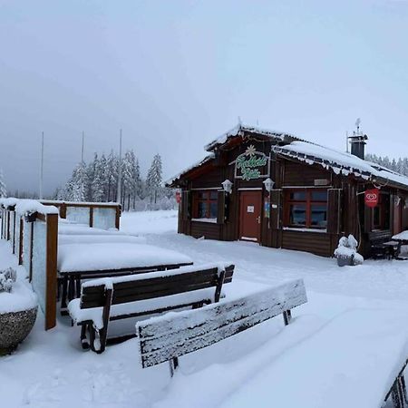 Zeit Fuer Dich Am Bergelchen, Winterberg Lägenhet Exteriör bild